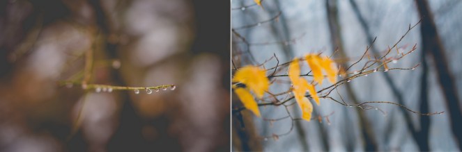 Обработени81