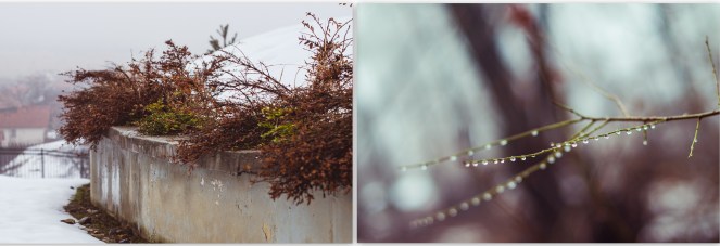 Обработени82